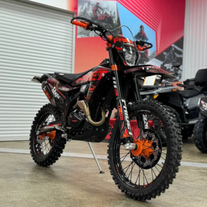 Кроссовый мотоцикл FAIDET PR300 MAX WP в Мытищах