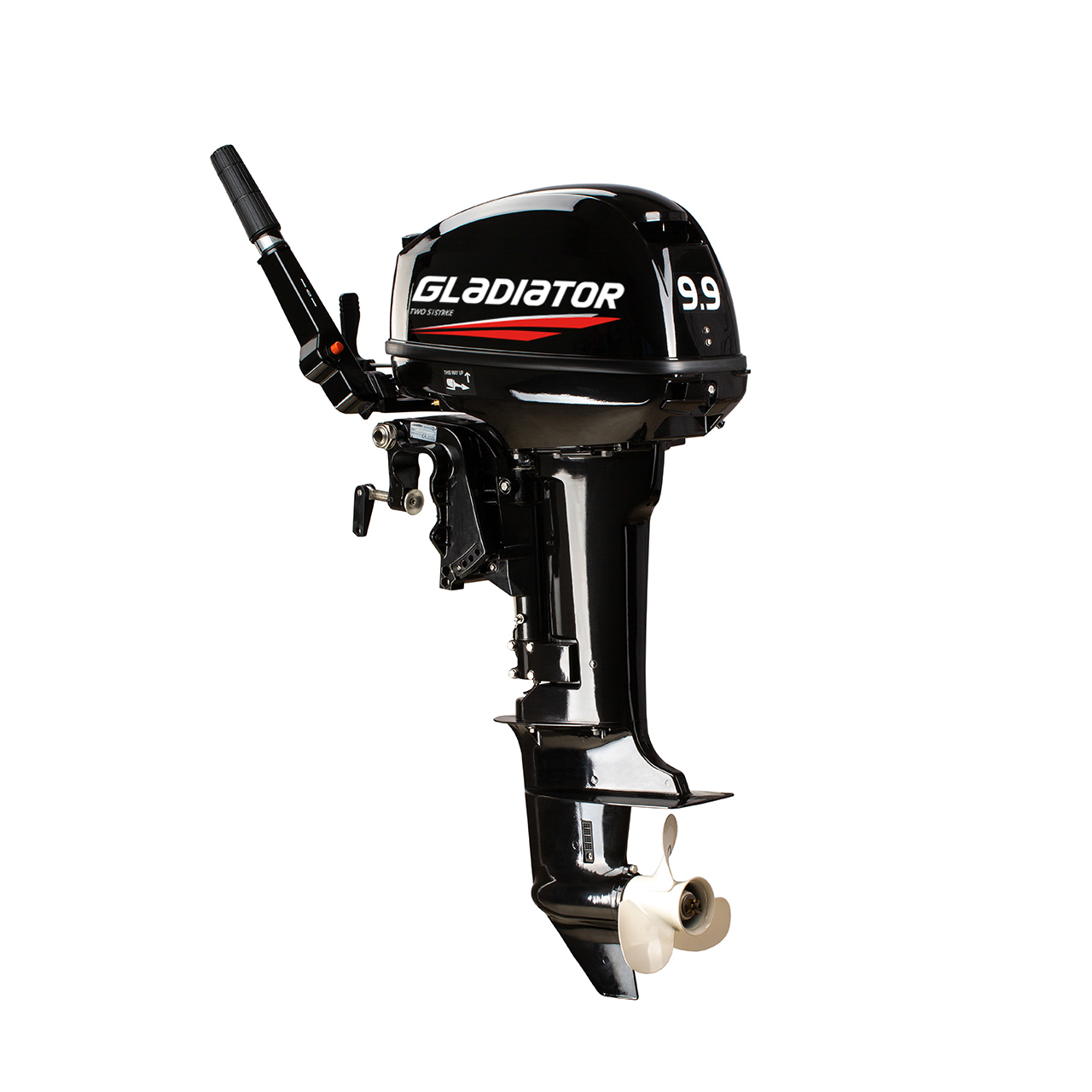 ЛОДОЧНЫЙ МОТОР GLADIATOR G9.9FHS в Мытищах