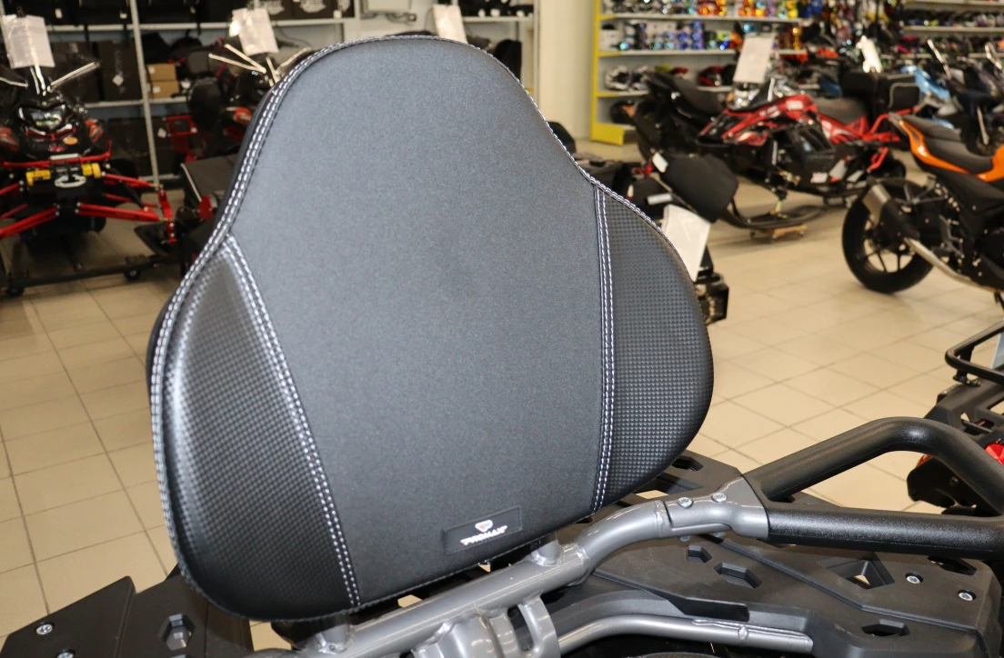 Квадроцикл PROMAX RENEGADE 300 LONG WINCH PRO (2025) в Мытищах