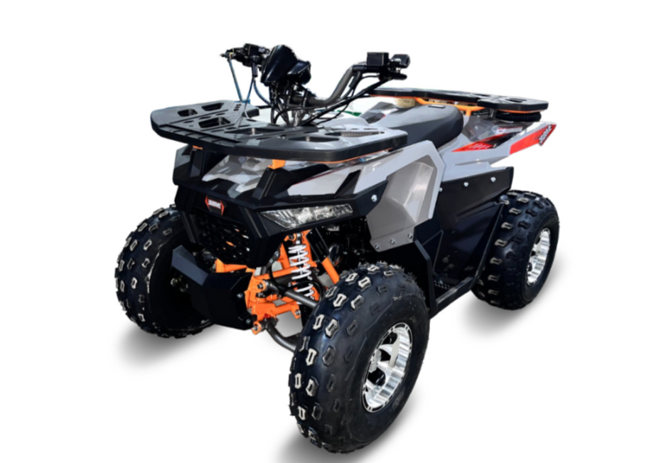 Квадроцикл GBM DAXTER 220 NEW PREMIUM в Мытищах