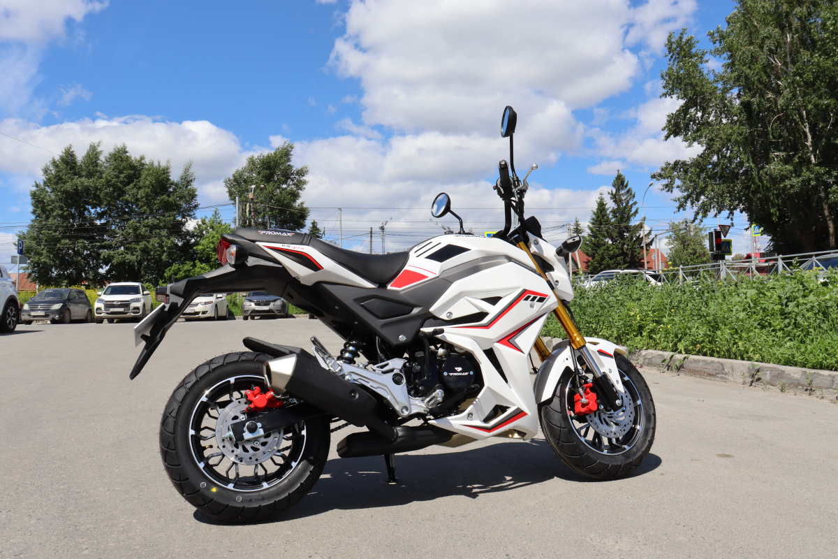 Мотоцикл PROMAX STRYKER 200(49) 2.0 в Мытищах