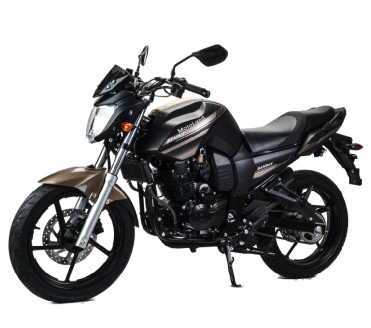 Мотоцикл MOTOLAND (МОТОЛЕНД) 300 BANDIT в Мытищах