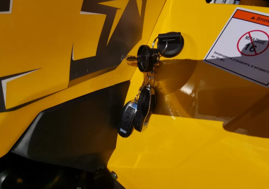 Квадроцикл MOTOLAND (МОТОЛЕНД) VOX200 WILD TRACK X PRO (баланс. вал) в Мытищах