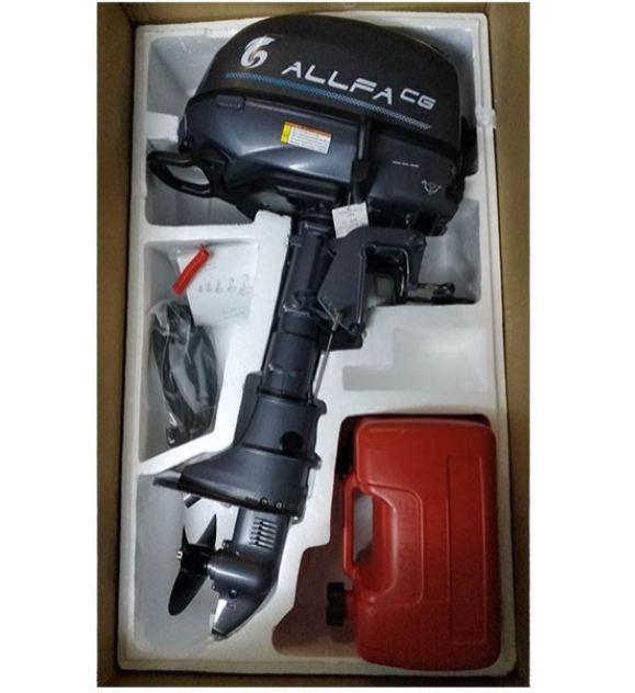 Лодочный мотор ALLFA CG F6 в Мытищах