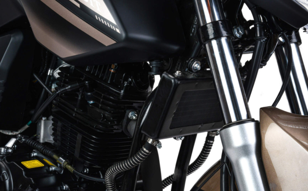 Мотоцикл MOTOLAND (МОТОЛЕНД) 300 BANDIT в Мытищах