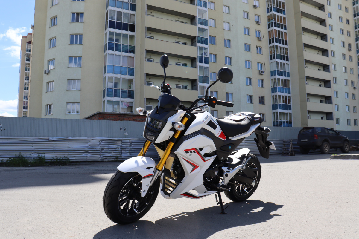 Мотоцикл PROMAX STRYKER 200(49) 2.0 в Мытищах
