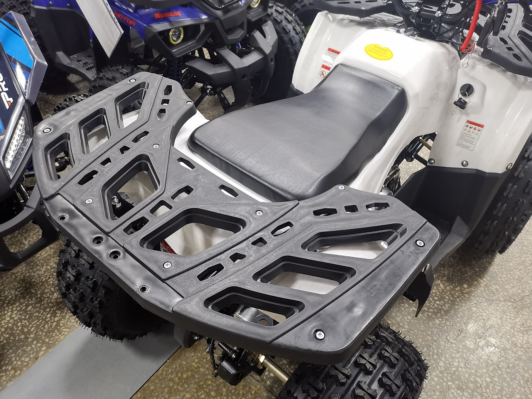 Квадроцикл PROMAX WILD 175 LUX в Мытищах