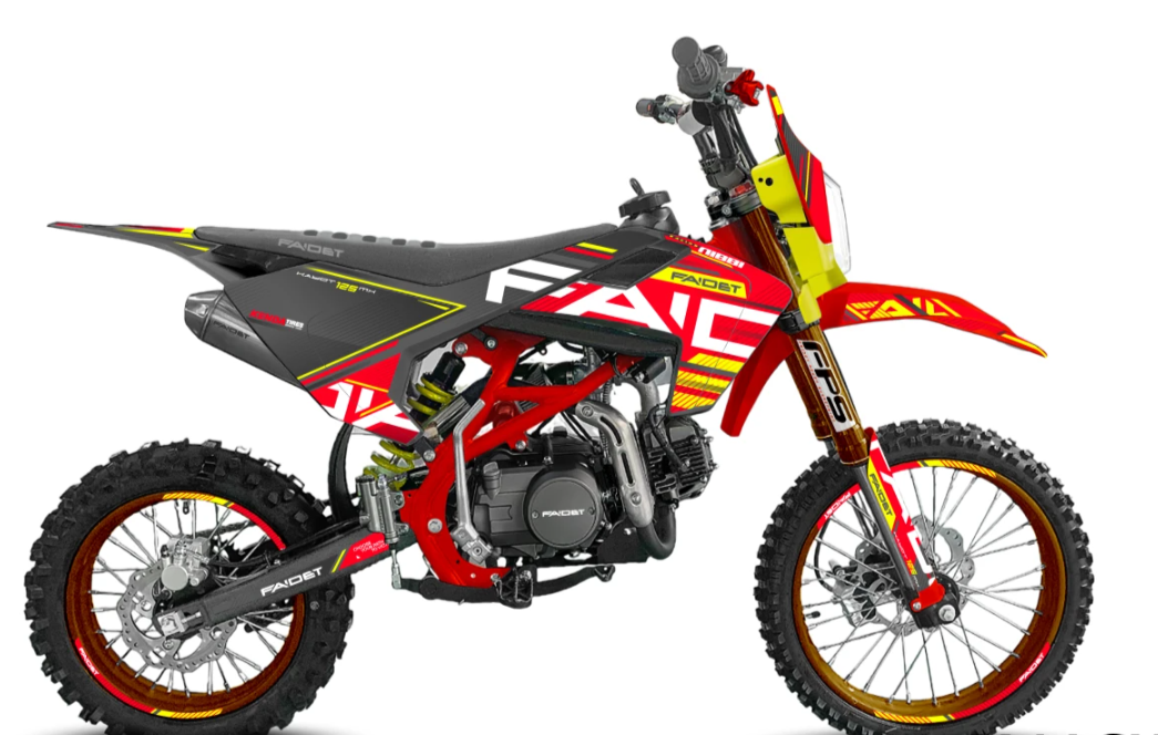 Питбайк FAIDET KAYOT 150E-PRO 17/14 в Мытищах