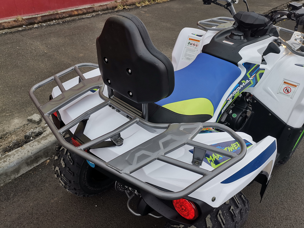 Квадроцикл PROMAX RENEGADE 280 LUX (2025) в Мытищах