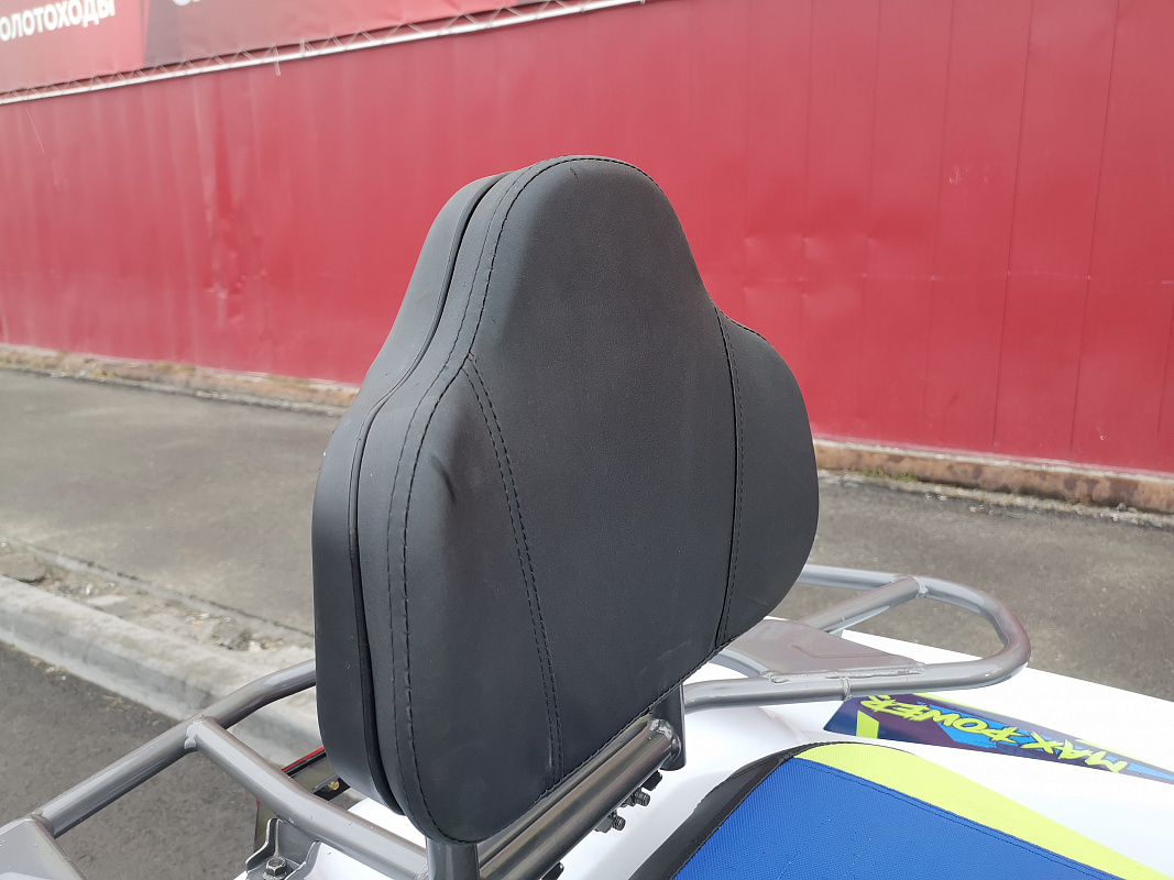 Квадроцикл PROMAX RENEGADE 280 LUX (2025) в Мытищах