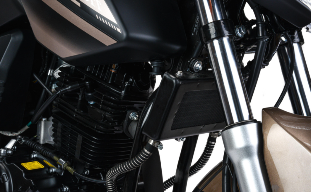 Мотоцикл MOTOLAND (МОТОЛЕНД) 300 BANDIT в Мытищах