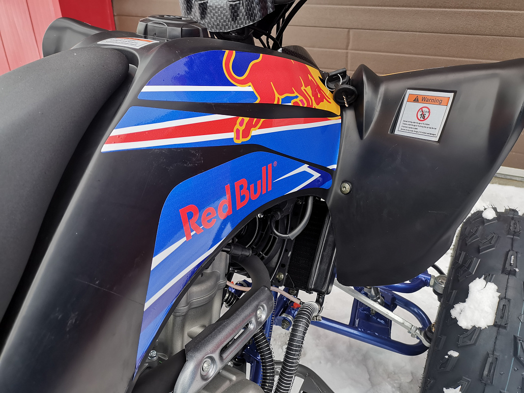 Квадроцикл PROMAX RAPTOR 300 NEW RedBull в Мытищах