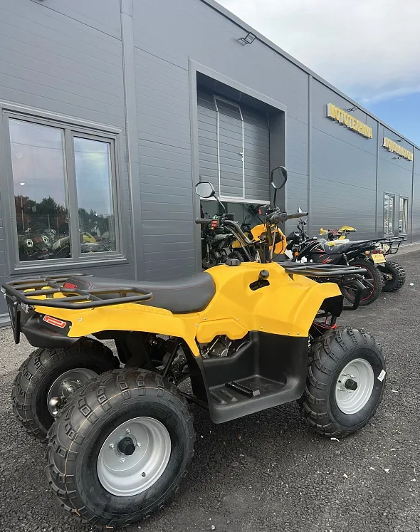 КВАДРОЦИКЛ IRBIS ATV 250  в Мытищах