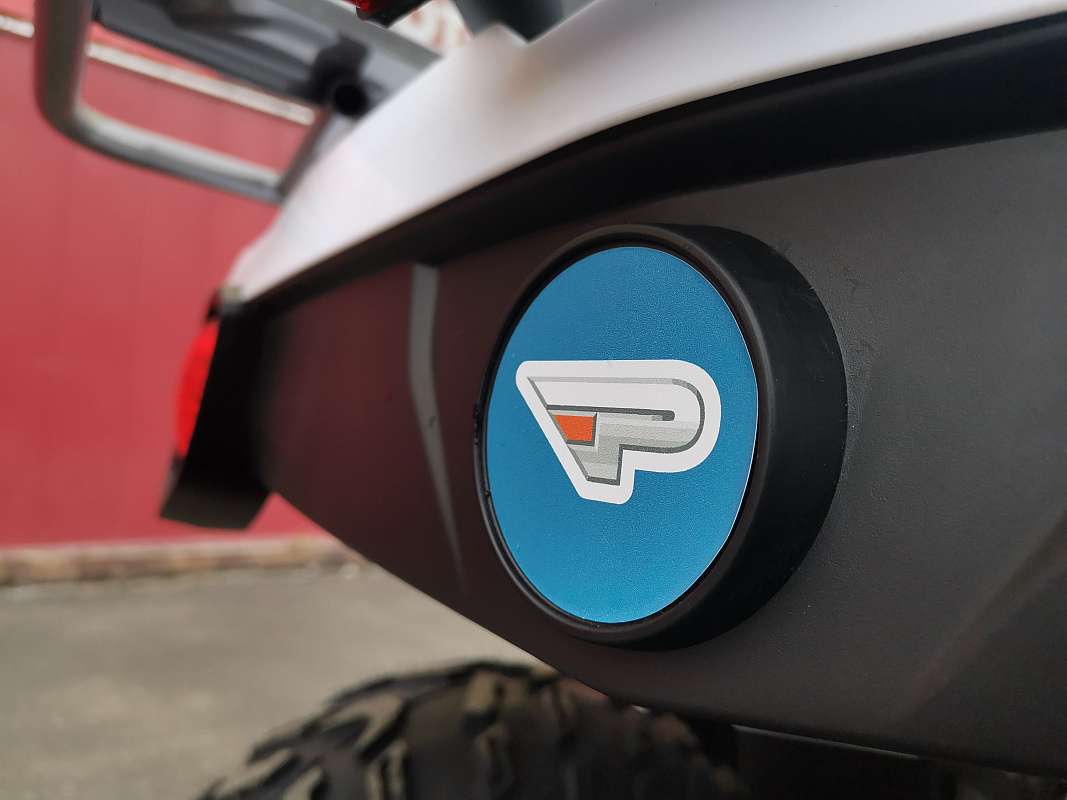 Квадроцикл PROMAX RENEGADE 280 LUX (2025) в Мытищах