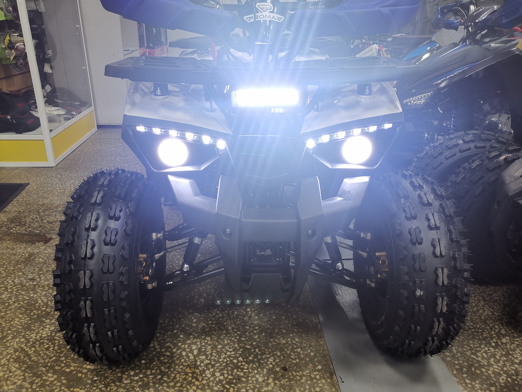 Квадроцикл PROMAX WILD 175 LUX в Мытищах