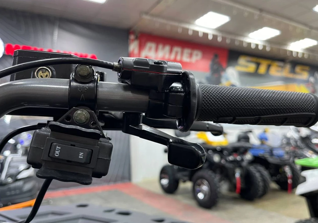 Квадроцикл PROMAX RENEGADE 300 LONG WINCH PRO (2025) в Мытищах