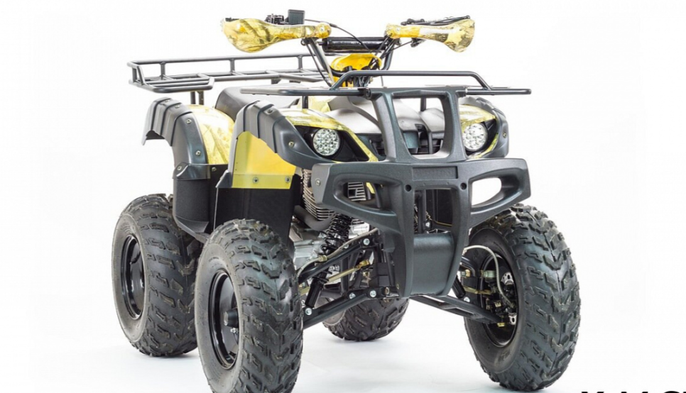 Квадроцикл MOTOLAND (МОТОЛЕНД) 250 ADVENTURE в Мытищах