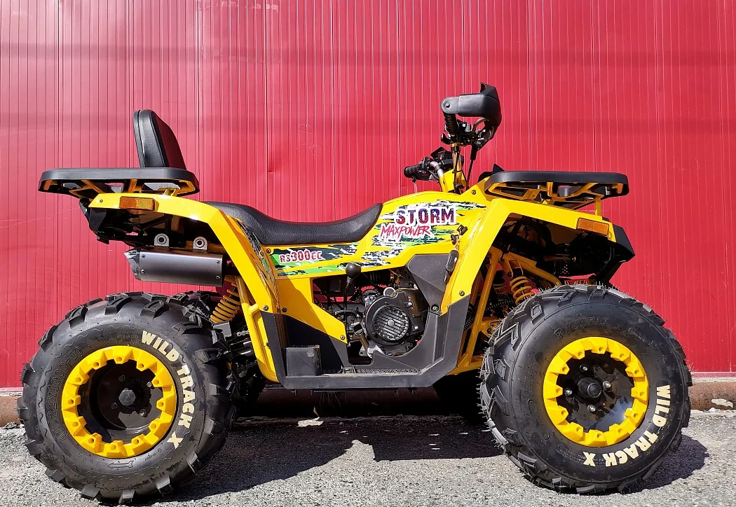 Квадроцикл PROMAX STORM 280 LUX в Мытищах
