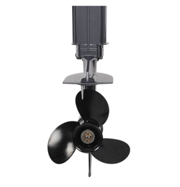 Лодочный мотор ALLFA CG Т40FW S в Мытищах