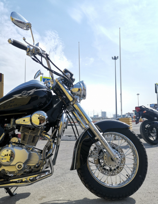 Мотоцикл MOTOLAND (МОТОЛЕНД) WOLF 250 в Мытищах