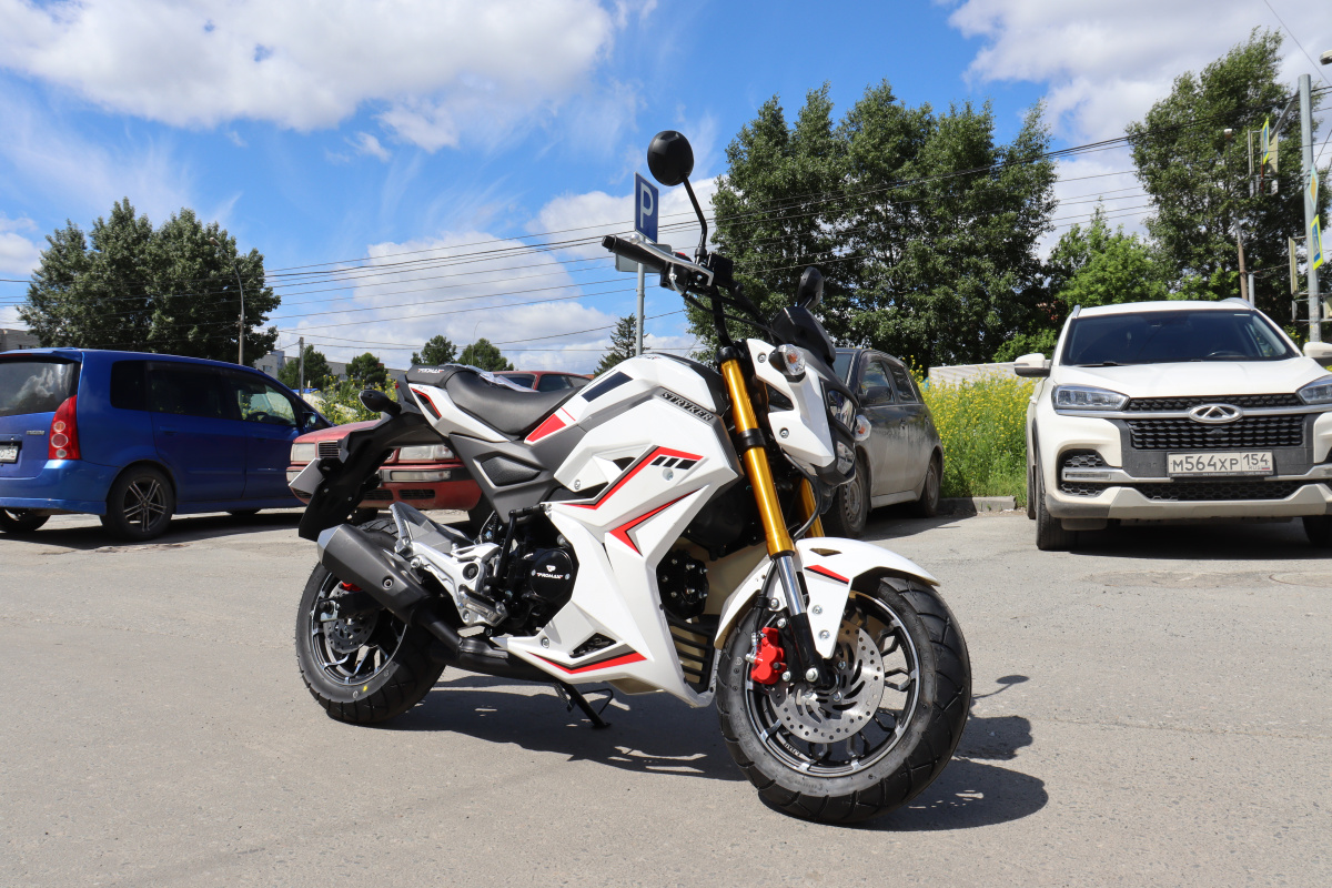 Мотоцикл PROMAX STRYKER 200(49) 2.0 в Мытищах