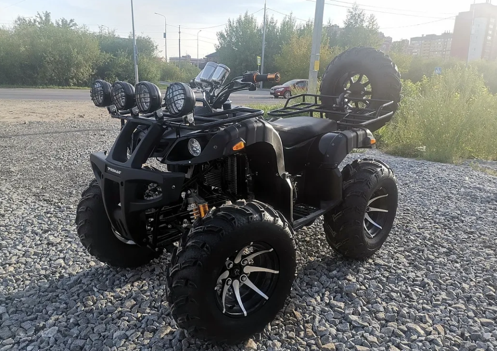 Квадроцикл PROMAX LEO 300 Max (кардан) в Мытищах