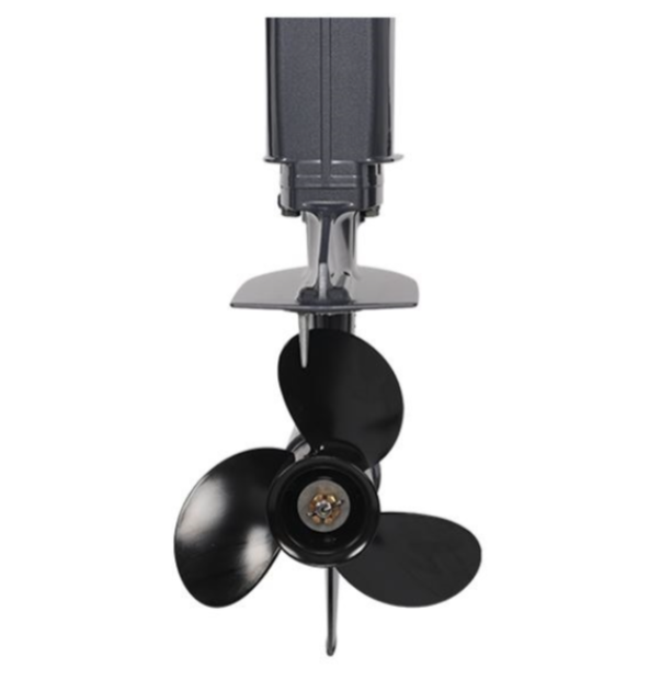 Лодочный мотор ALLFA CG Т40FWT S в Мытищах