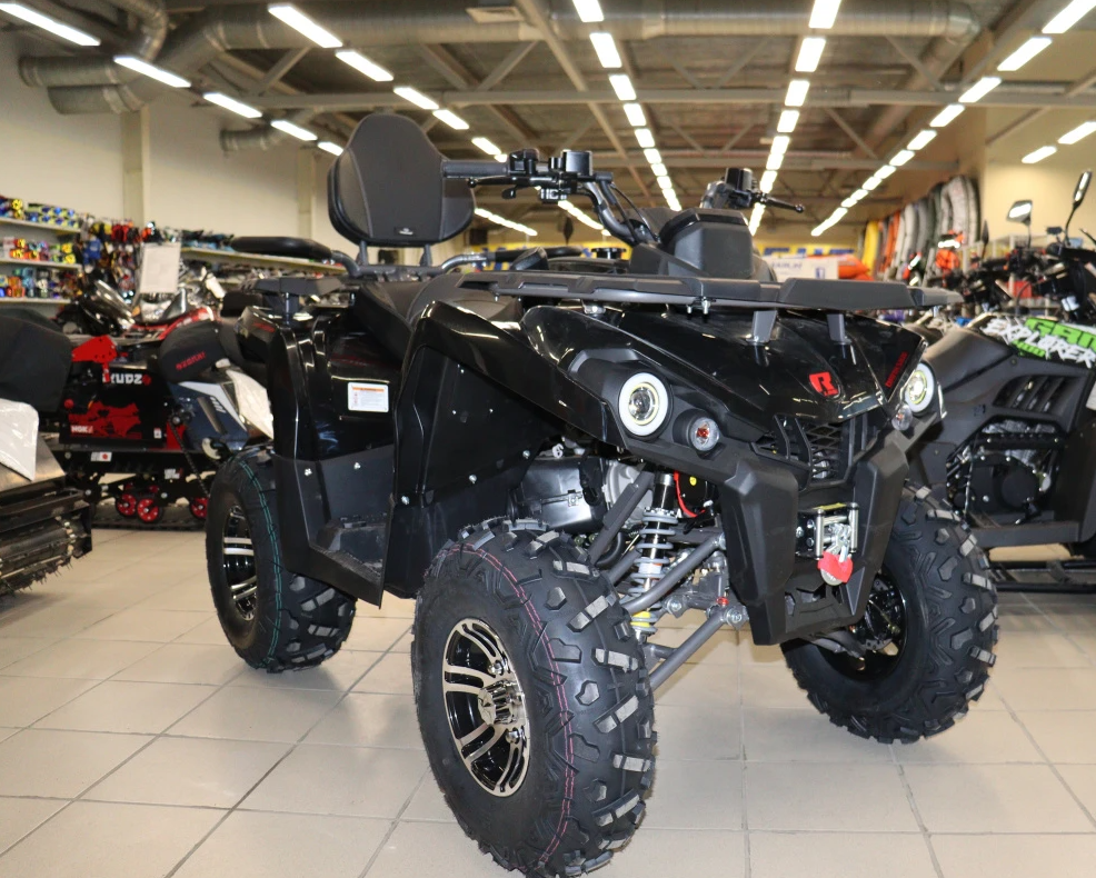 Квадроцикл PROMAX RENEGADE 300 LONG WINCH PRO (2025) в Мытищах