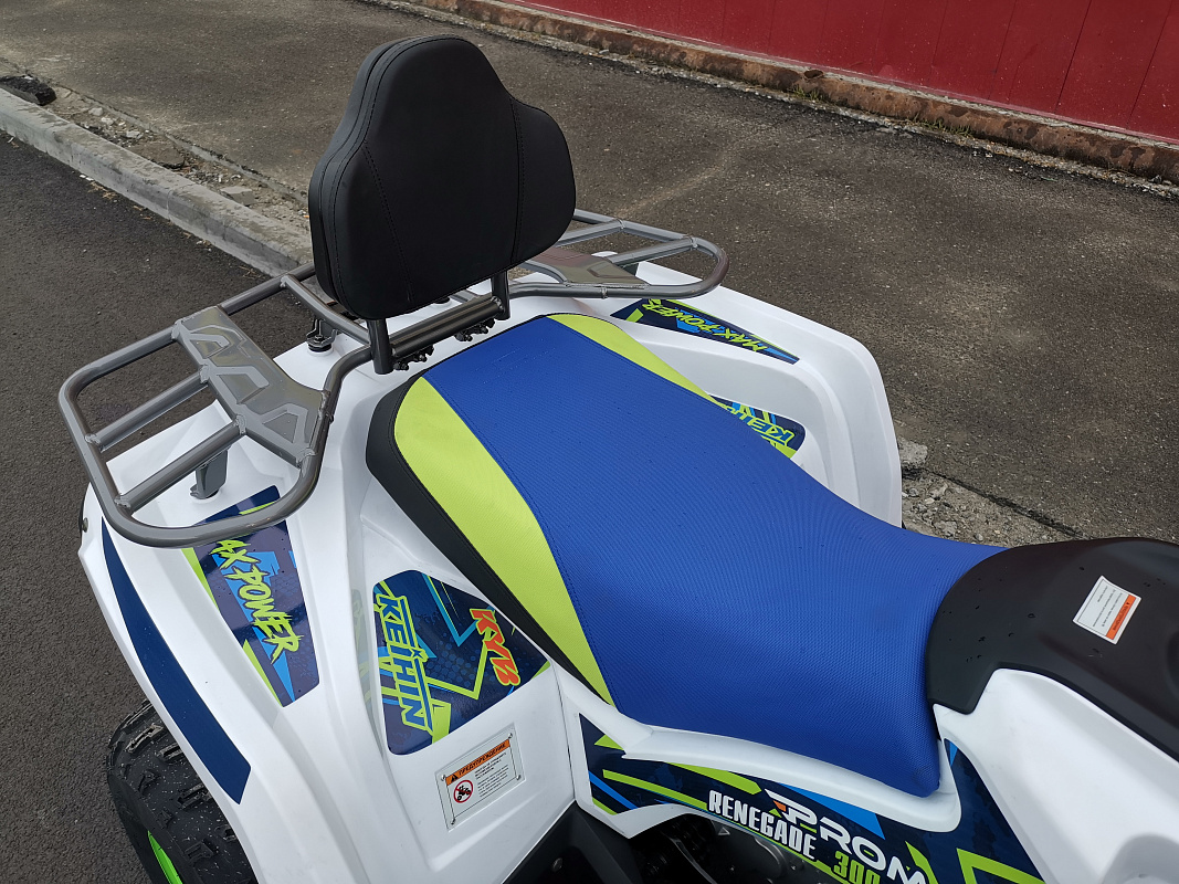 Квадроцикл PROMAX RENEGADE 280 LUX (2025) в Мытищах