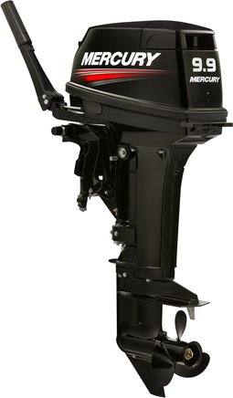 ЛОДОЧНЫЙ МОТОР MERCURY 9.9 MH TMC 247 CC в Мытищах