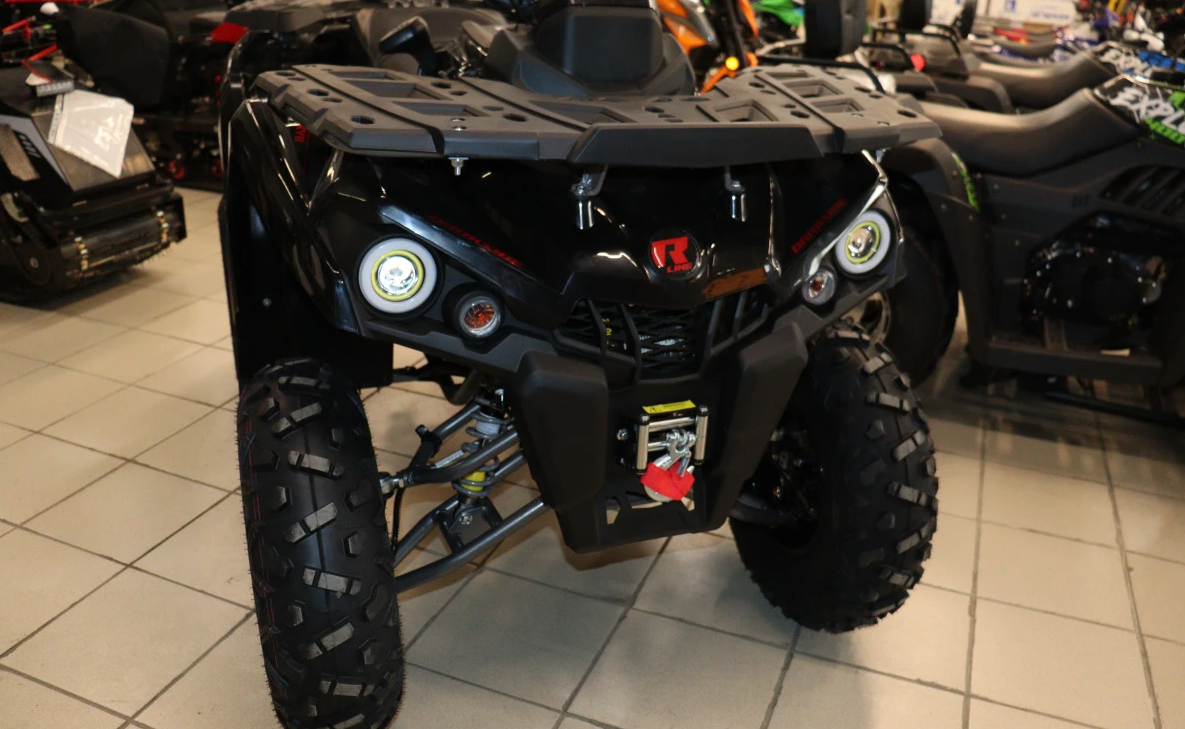 Квадроцикл PROMAX RENEGADE 300 LONG WINCH PRO (2025) в Мытищах