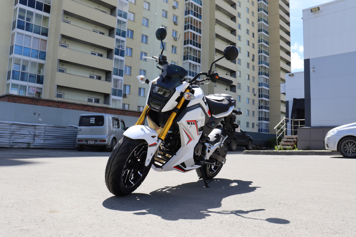 Мотоцикл PROMAX STRYKER 200(49) 2.0 в Мытищах