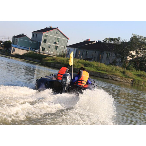 ЛОДОЧНЫЙ МОТОР ALLFA CG Т20 в Мытищах