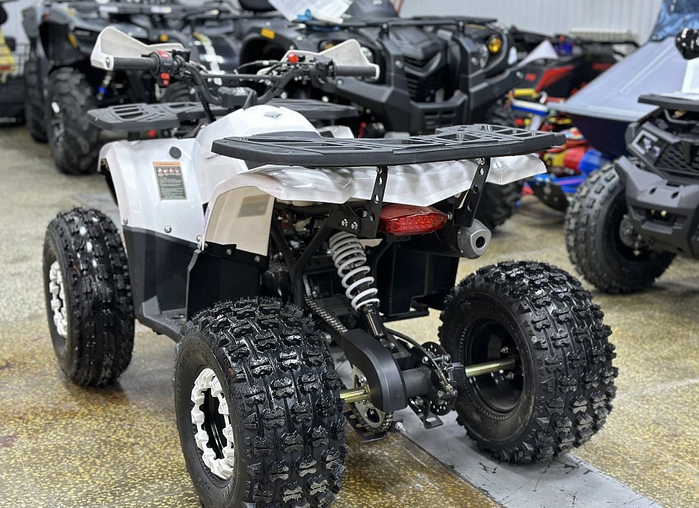 Квадроцикл PROMAX WILD 2.0 190 в Мытищах