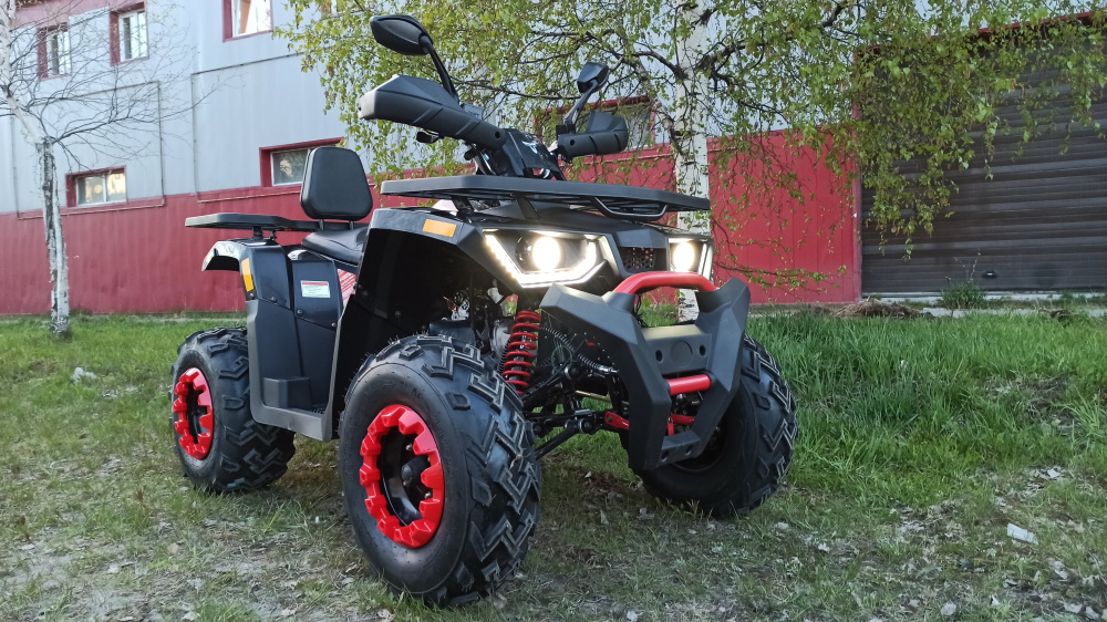 Квадроцикл PROMAX WILD 300 LUX (2024) в Мытищах