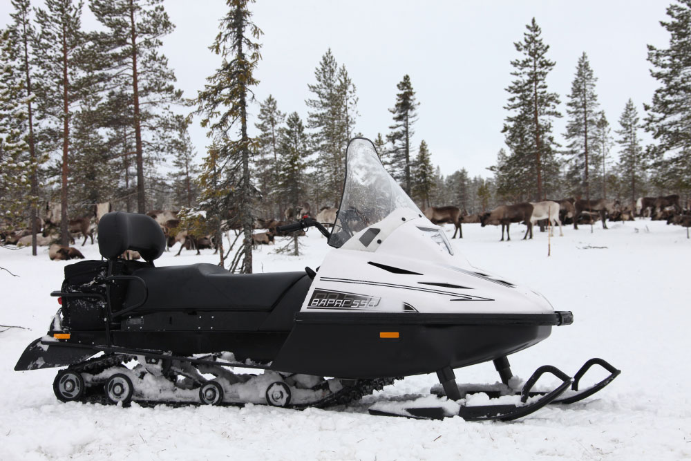 СНЕГОХОД РМ ТАЙГА ВАРЯГ 550 V в Мытищах