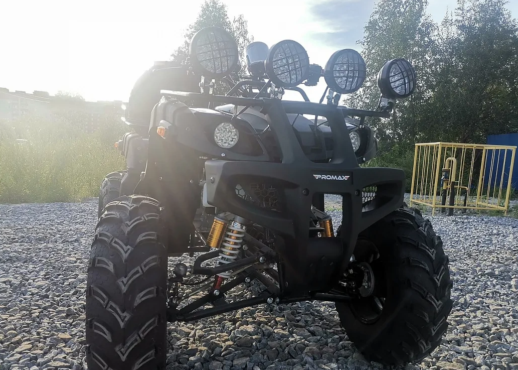 Квадроцикл PROMAX LEO 300 Max (кардан) в Мытищах