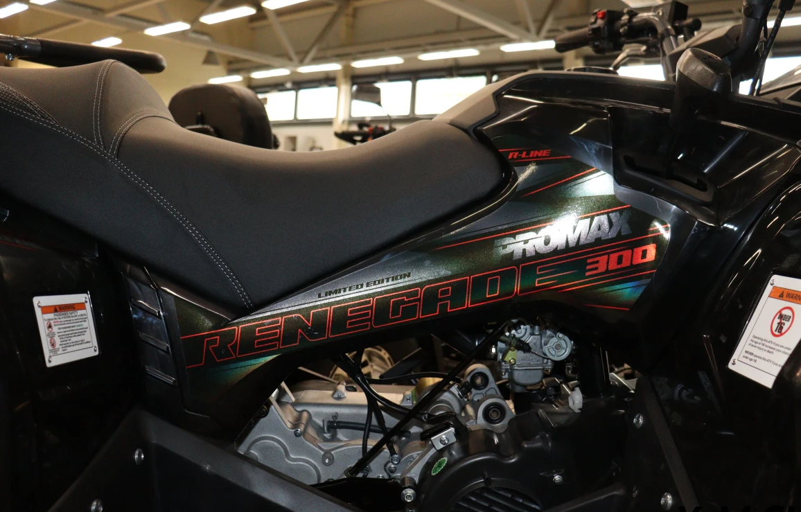 Квадроцикл PROMAX RENEGADE 300 LONG WINCH PRO (2025) в Мытищах