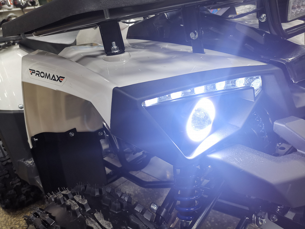Квадроцикл PROMAX WILD 175 LUX в Мытищах