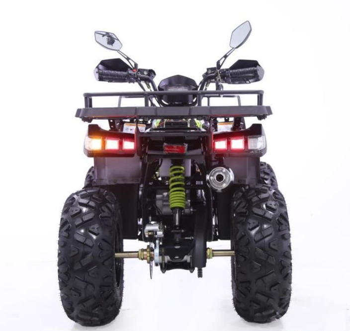 Квадроцикл YACOTA WARRIOR 200 PRO в Мытищах