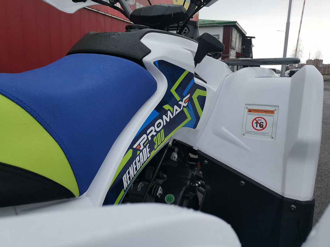Квадроцикл PROMAX RENEGADE 280 LUX (2025) в Мытищах
