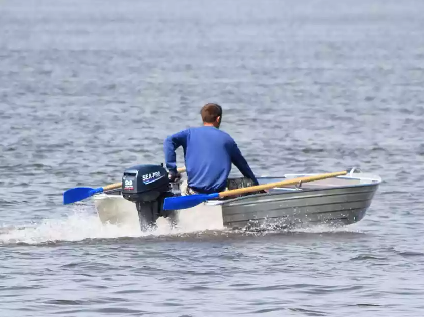 Алюминиевая Wyatboat-320 в Мытищах