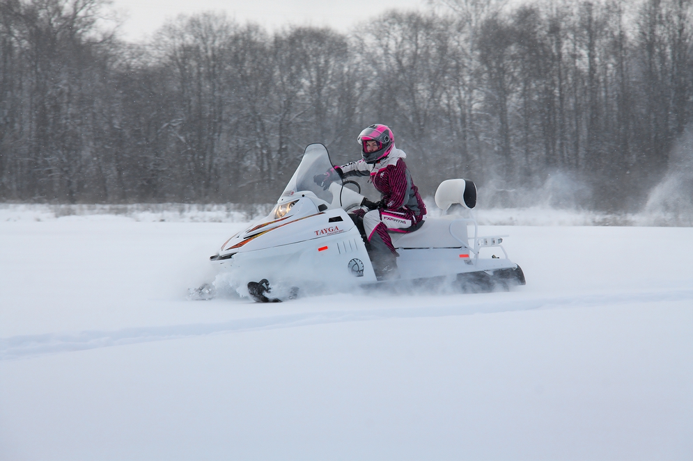 СНЕГОХОД РМ ТАЙГА ПАТРУЛЬ 551 SWT в Мытищах