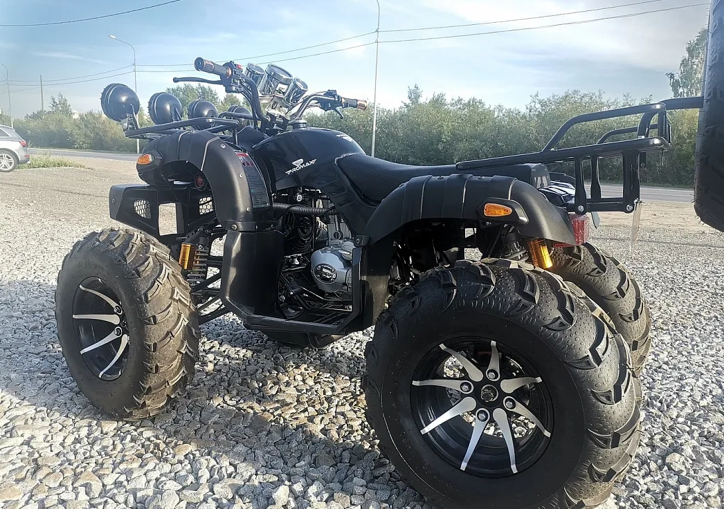 Квадроцикл PROMAX LEO 300 Max (кардан) в Мытищах