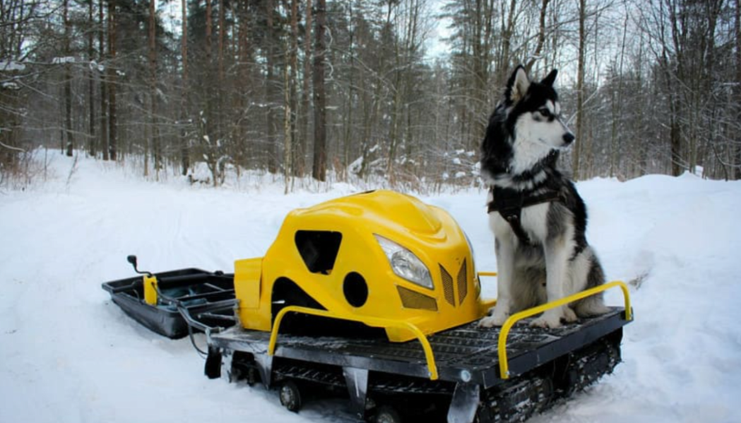 Мотобуксировщик LEBEDEV MOTORS ВОЛКОДАВ POWER V13 в Мытищах