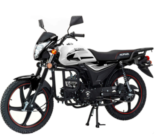 Мопед MOTOLAND (МОТОЛЕНД) Альфа RS 11 (LM48-B) в Мытищах