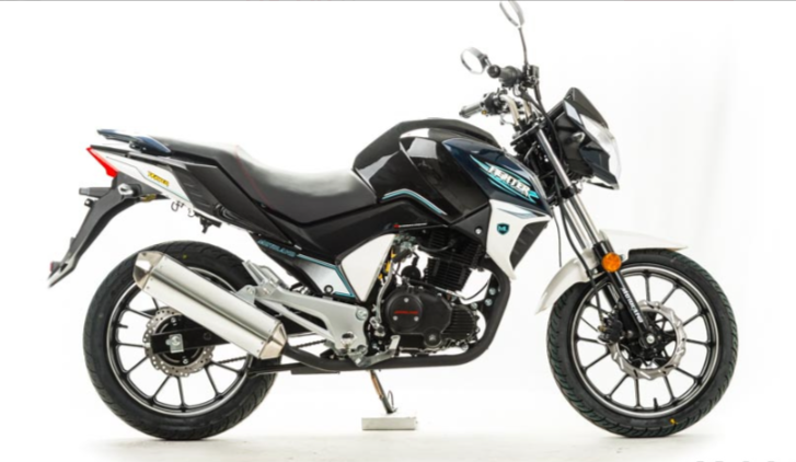 Мотоцикл MOTOLAND (МОТОЛЕНД) FIGHTER 250 в Мытищах