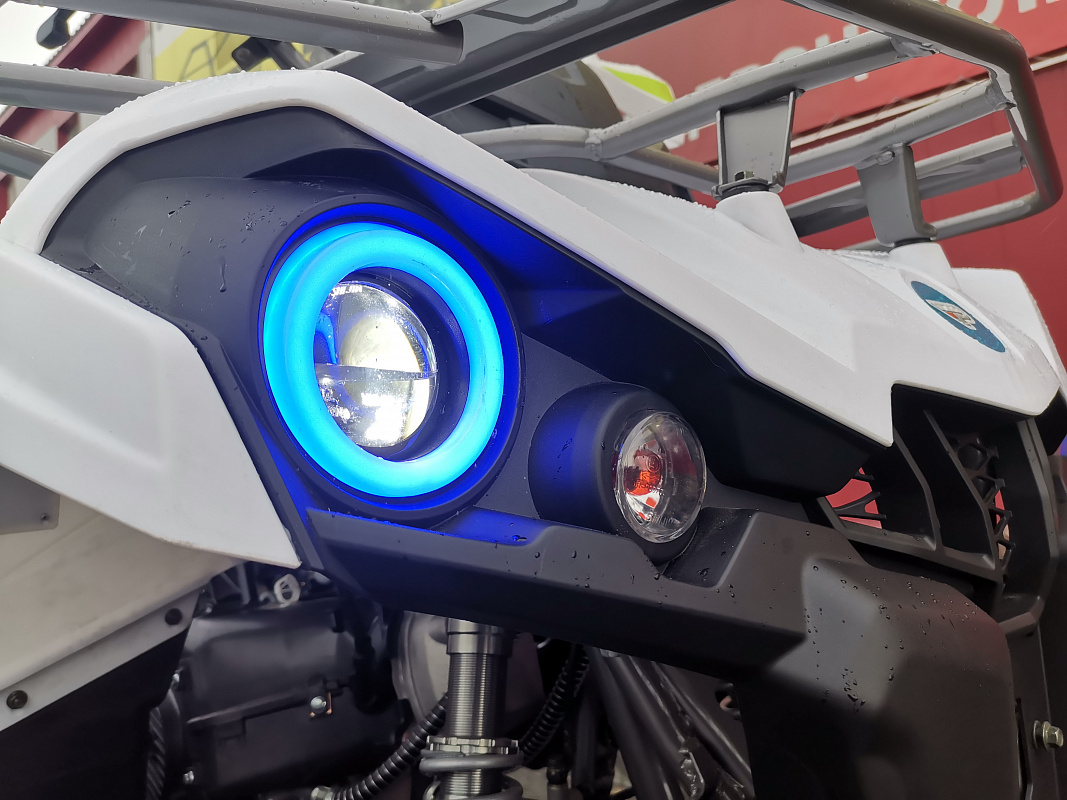 Квадроцикл PROMAX RENEGADE 280 LUX (2025) в Мытищах