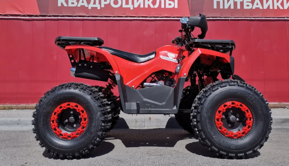 Квадроцикл PROMAX WILD 175 BASIC в Мытищах