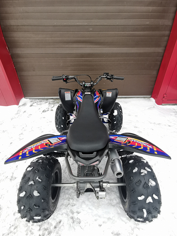 Квадроцикл PROMAX RAPTOR 300 NEW RedBull в Мытищах